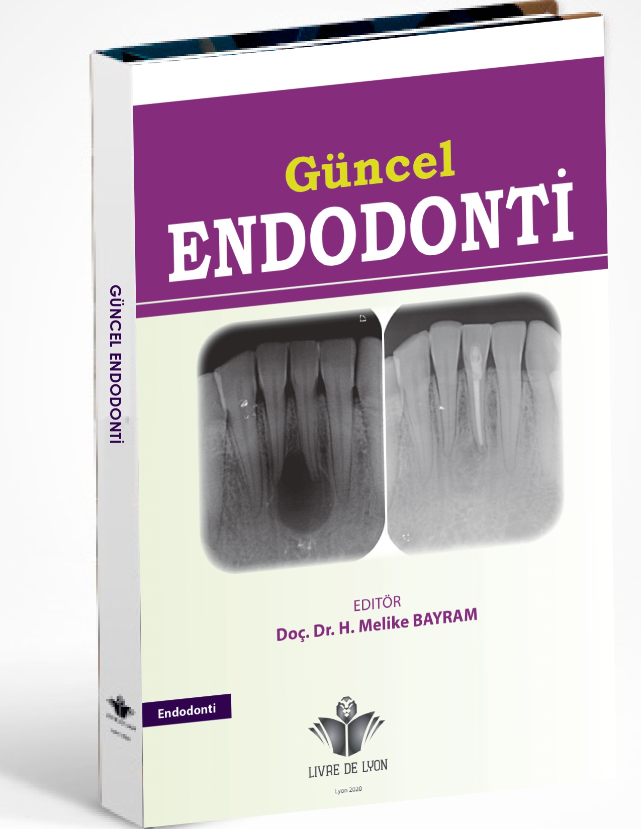 Güncel Endodonti