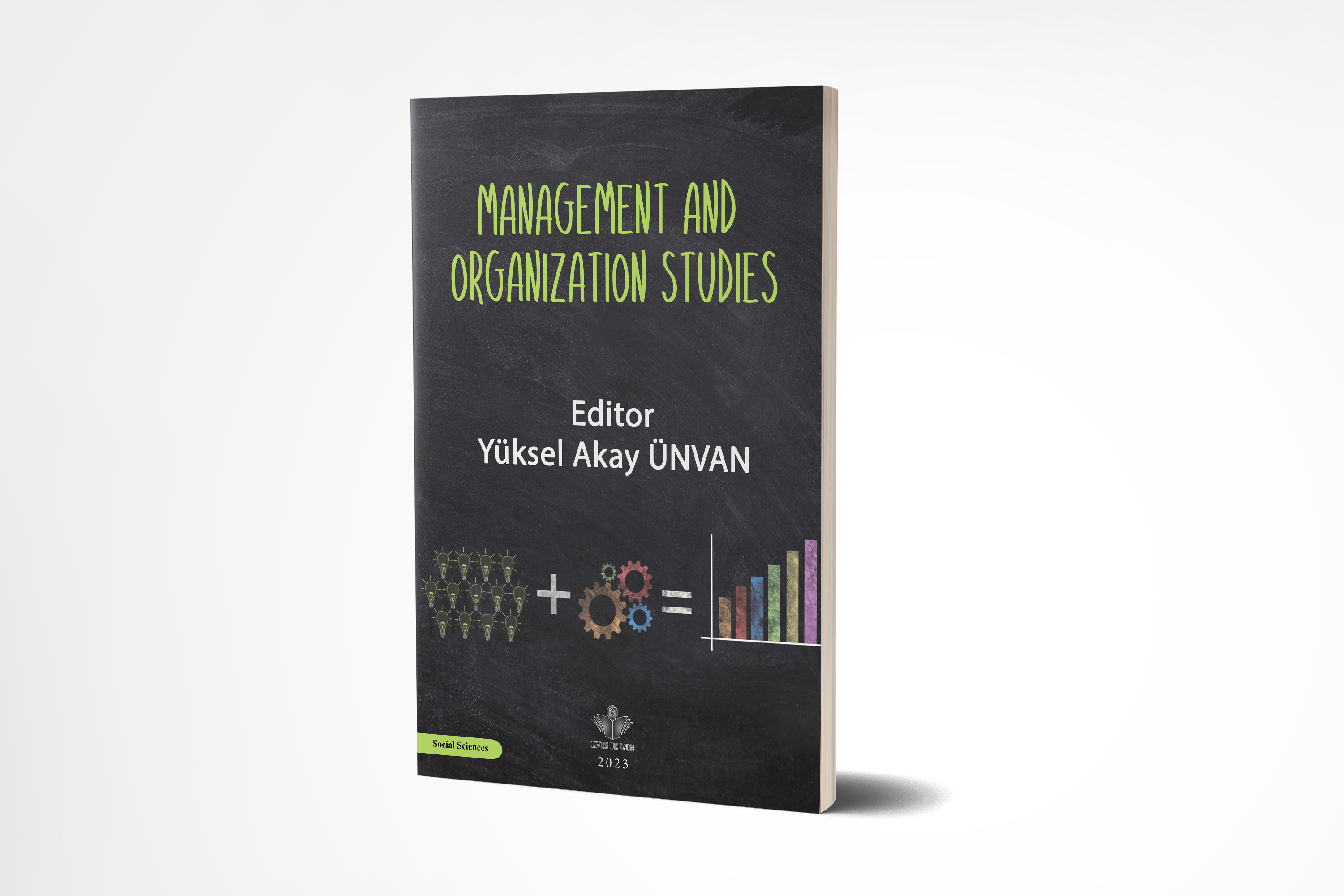 Management and Organization Studies