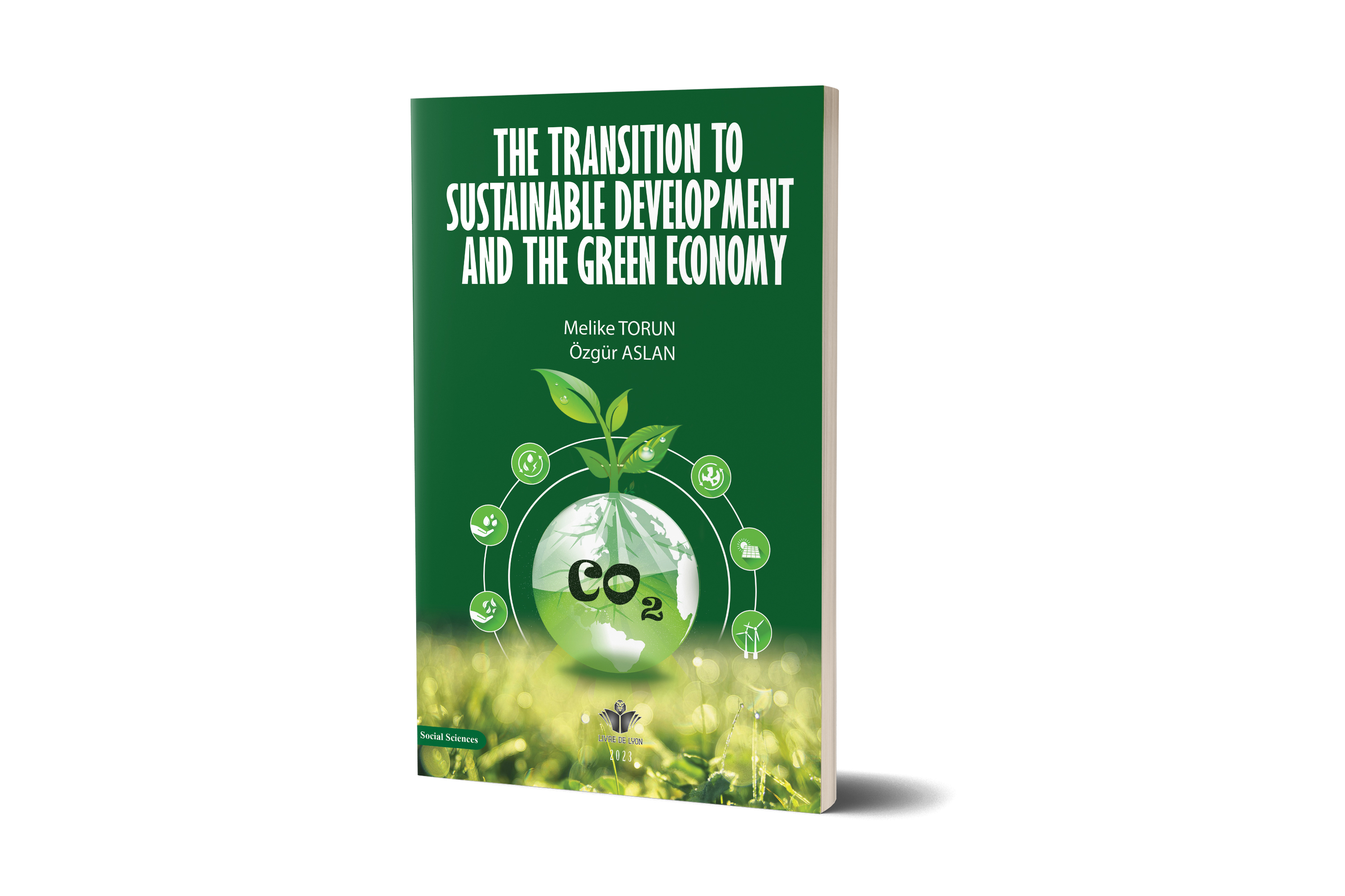 The Transition to Sustainable Development and the Green Economy